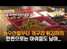성남 모란민속5일장, 인산인해 속 전통시장 매력 발산
