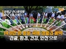 양평 용문산 산나물 축제에 담긴 4가지 키워드