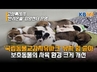 고양특례시, 반려동물 인프라 확충 및 동물교감치유 활성화 박차
