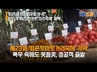 '퇴촌의 멋, 토마토의 맛 ... 광주시 퇴촌토 마토거리축제 개막