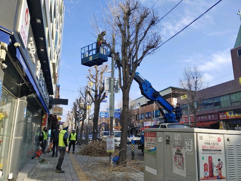 1.동두천시 상반기 가로수 전정공사 추진.jpg