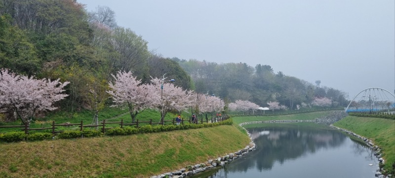 1.녹색 둘레길·명품 숲으로 살아 숨쉬는 목포를 만든다(삼학도 숲길).jpg