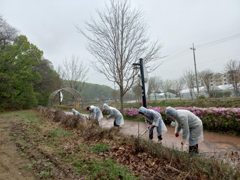 3.(사진)고천동 꽃길가꾸기(1).jpeg