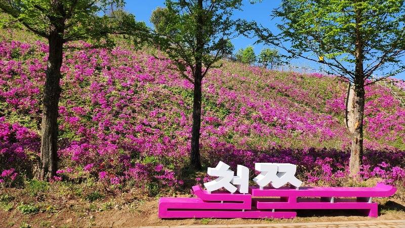 광교호수공원에 철쭉보러 오세요!(1).jpg