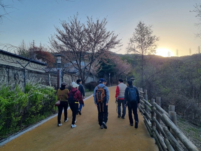 녹지산림과(힐링 명소 소풍길 정비로 안전·쾌적한 숲길 제공)1.jpg