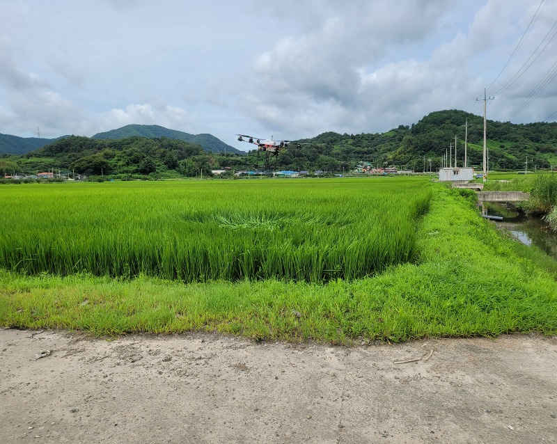 광양시, 돌아오는 농촌, 청년이 깃드는 농촌을 향한 힘찬 발걸음 - 기술보급과 - 친환경 농업혁신.jpg