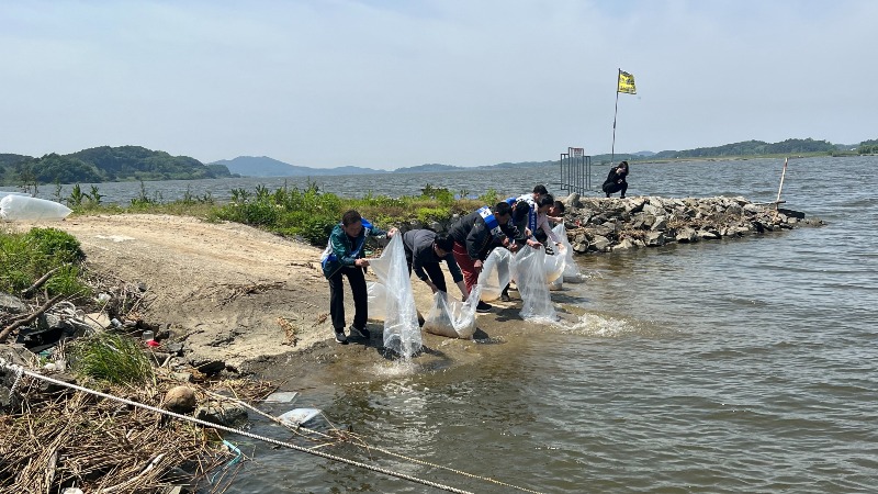 익산시, 만경강·금강에 어린참게 10만 마리 방류 (1).jpg