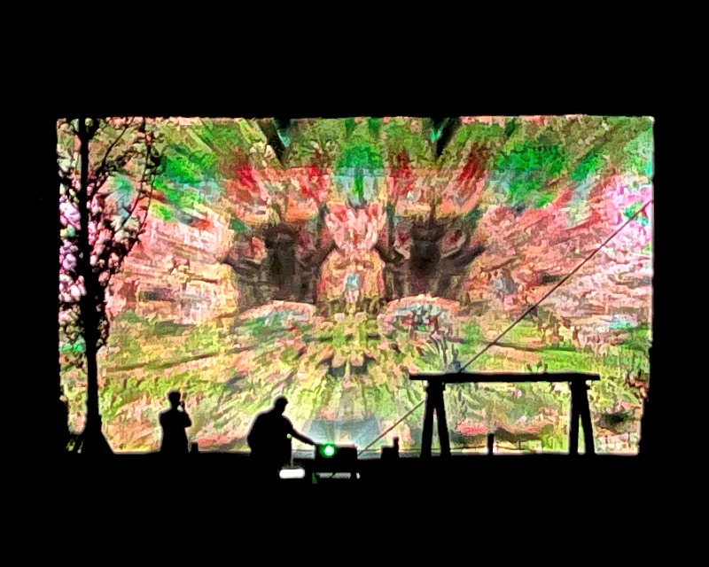 1. 동해시, 무릉별유천지 야간 경관조명 시연 (3).jpg