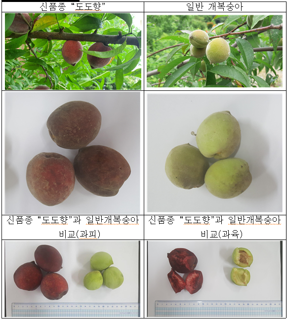 화면 캡처 2023-05-15 075027.png