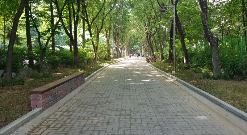 정비작업을 시행한 부림동 보행자 녹지대 구간1.jpg