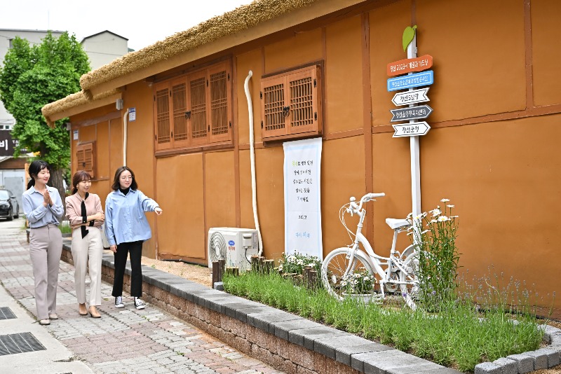 js20230519(정선읍 게릴라 가드닝)-1(JPZ_7519).jpg