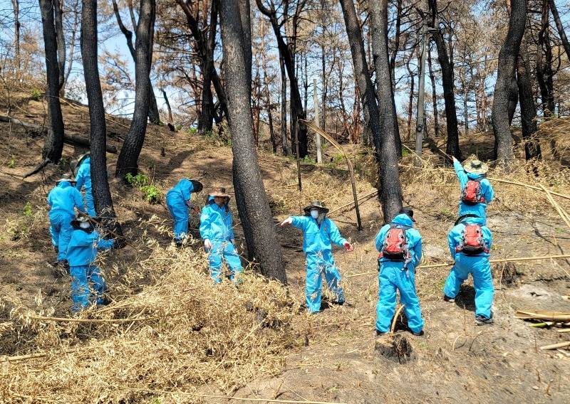 산불피해복구 자원봉사활동3.jpg