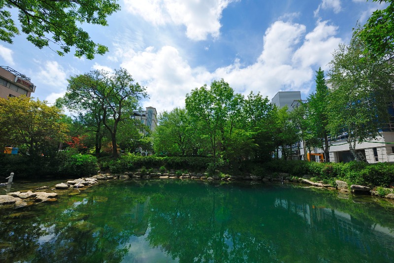 2. 황지연못(2023년 내수면 향토어종(미유기) 방류행사 실) (2).jpg