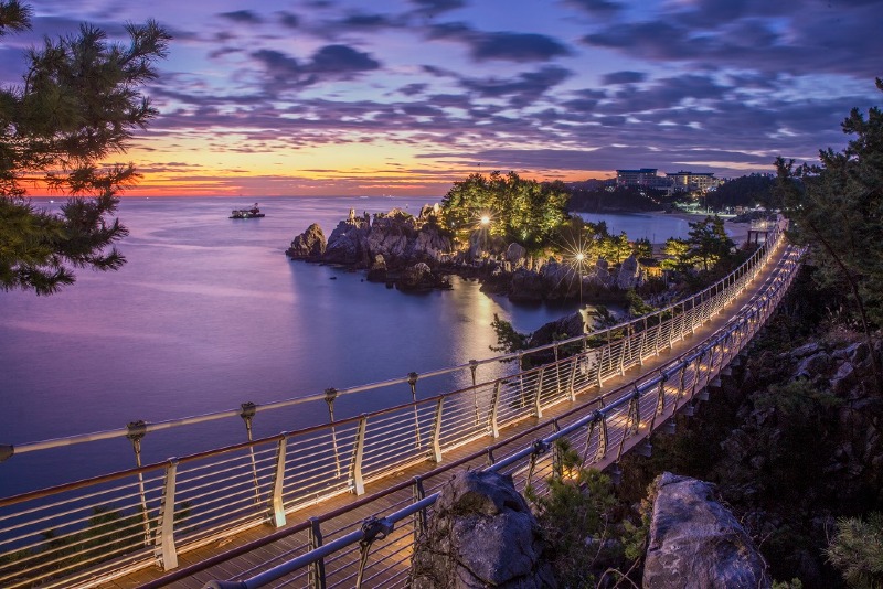 2. 동해시, 추암출렁다리 예경보시스템 구축 속도 (2).jpg