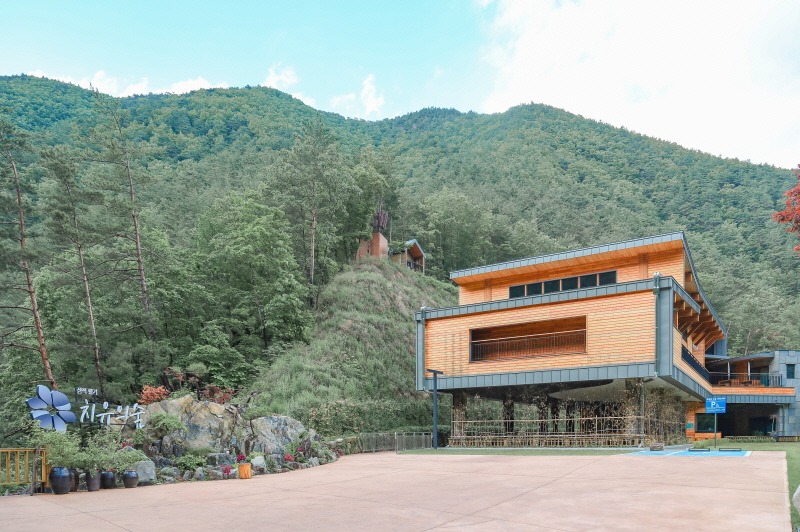 웰니스 코스(삼척 활기 치유의 숲).jpg
