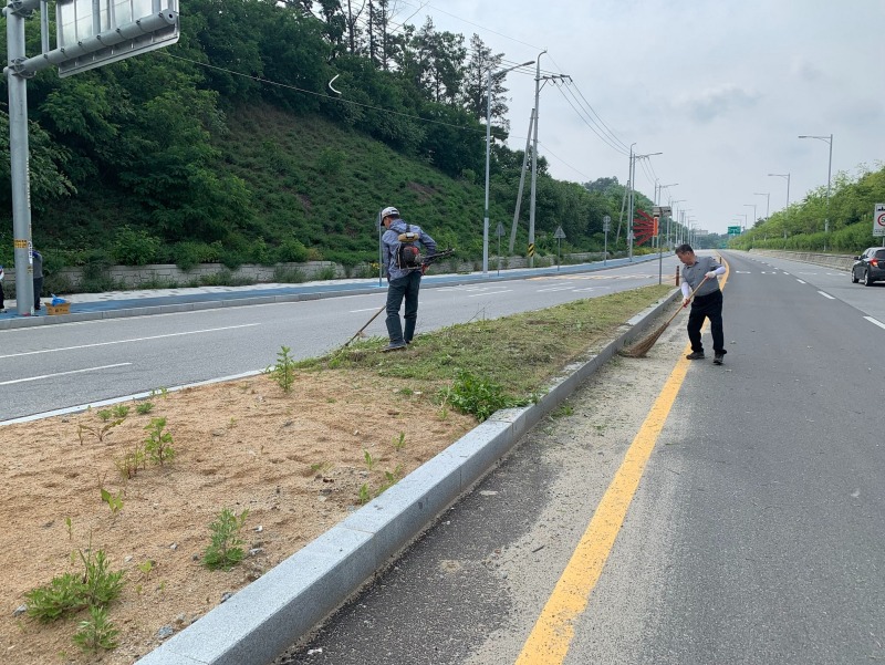 6.금왕읍이장협의회  시가자 환경정화활동 실시 (1).jpeg