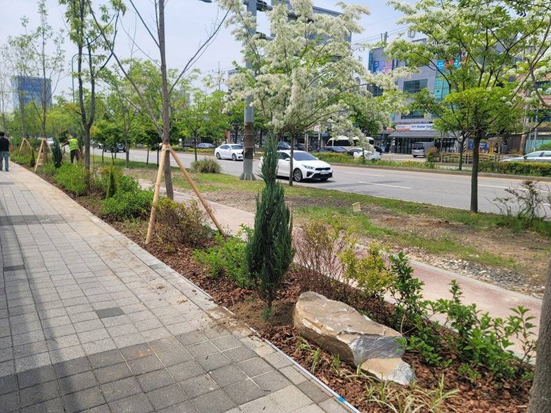 수원시 곳곳에 명품 가로숲길 생겼다 (1).jpg