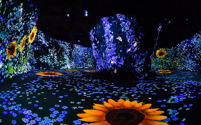 230611(일)사진자료(화암동굴 미디어 파사드1).jpeg