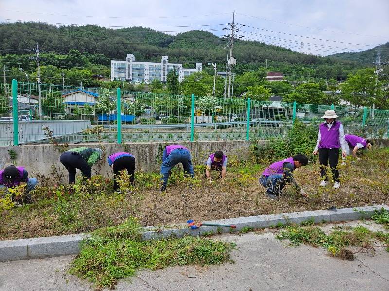 4. 상장동 주민자치위원회_가로화단조성 (7).jpg