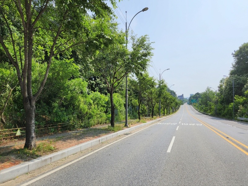 [크기변환]추가02- 여주시, 명품로 가로수 정비공사 착수.jpg