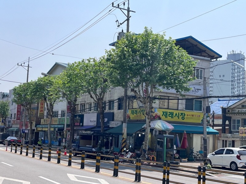 녹지산림과(안전한 보행환경 제공을 위한 가로수 정비 추진).jpg