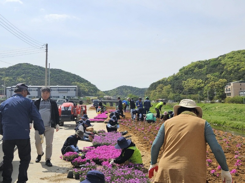 4-2 월곶면 포내천 정비.jpg