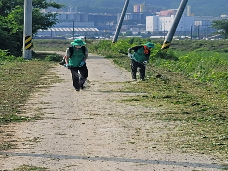 [크기변환]마장면 새마을운동 남·여협의회 하천변 제초작업.png