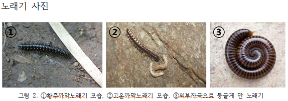 화면 캡처 2023-07-12 215742.png