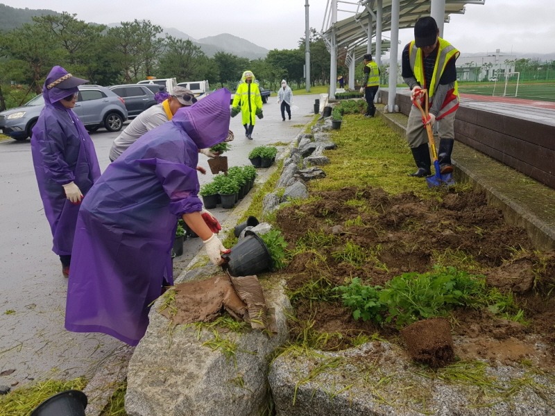 [크기변환]08 국화 식재 및 환경 정화 활동.JPG