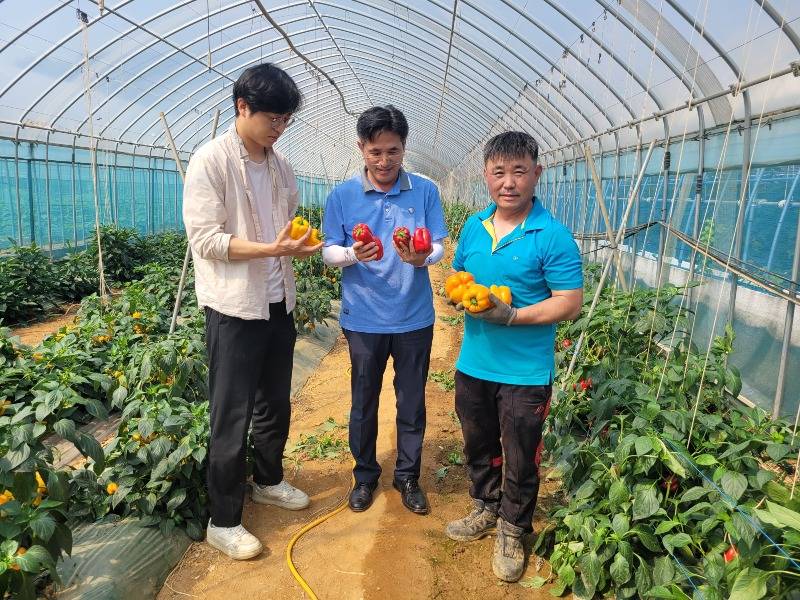 2-1 김포시농업기술센터 원예특작분야 실증시험 중간점검.jpg