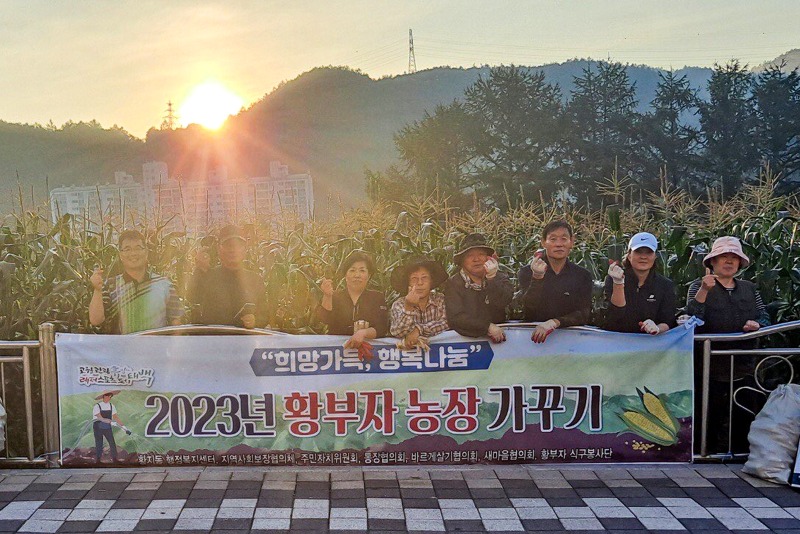 5. 황부자농장옥수수수확.jpg