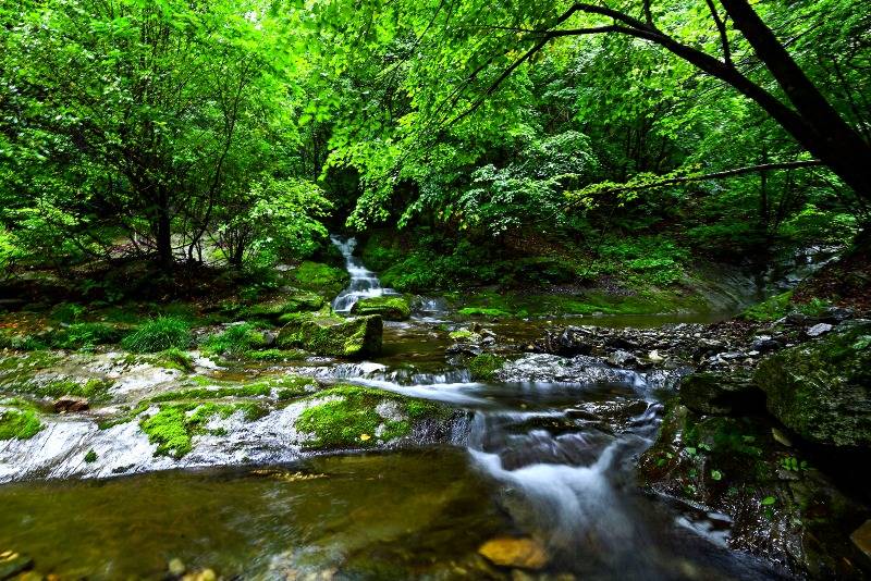 1. 한강 발원제 봉행(검룡소) (3).JPG