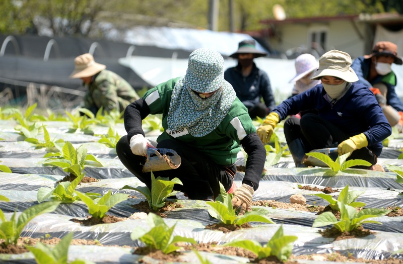 외국인 계절근로자16.jpg