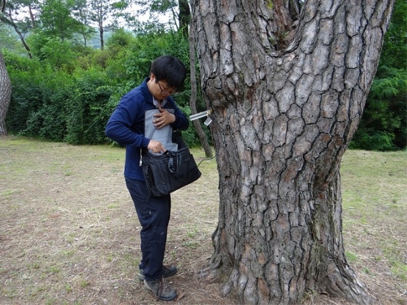 3. 파주시,“아픈 나무 무료로 진단해드려요”.jpg