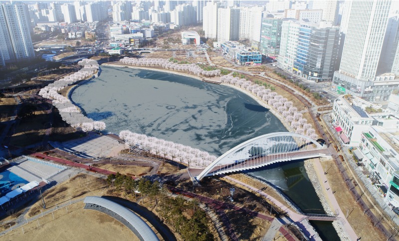 미사호수공원 벚꽃나무 식재CG.jpg