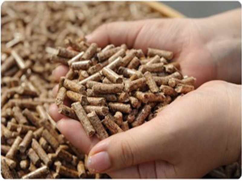 3.고양시, 목재펠릿 난로 지원.jpg