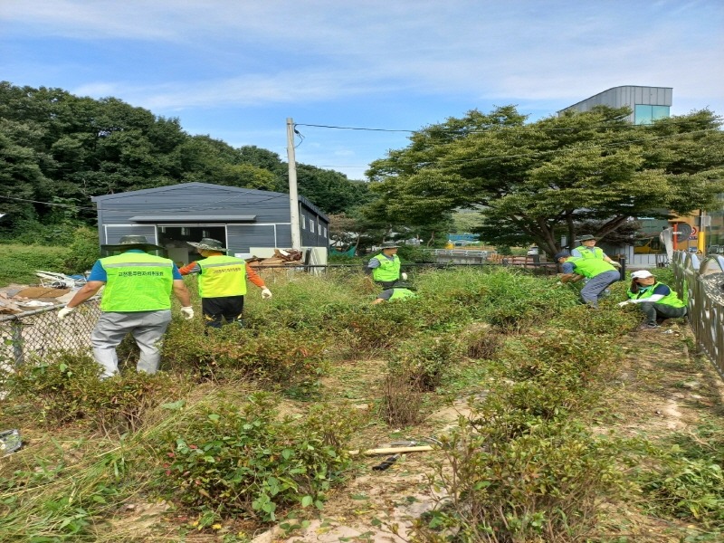 3.(사진)고천동 주민자치위원회 마을가꾸기(1).jpg