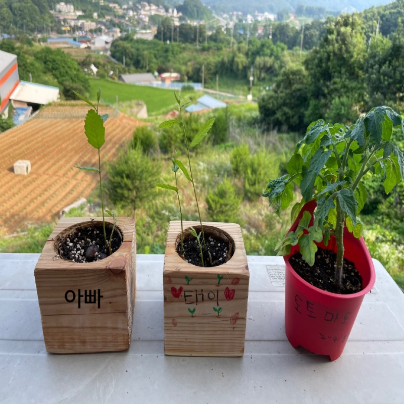 02 집씨통 키우기.jpg