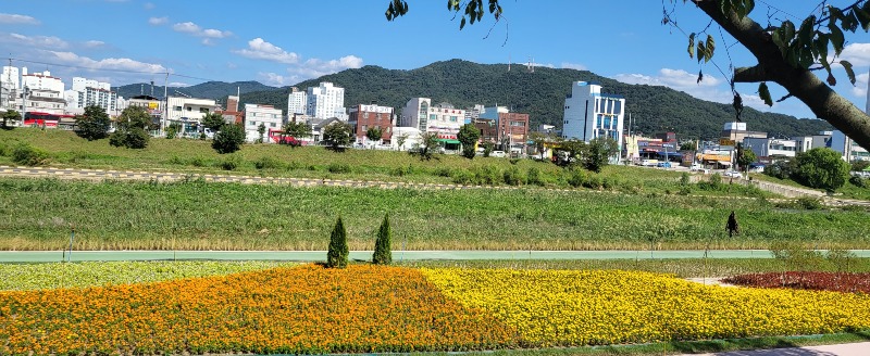 1. 무심천 꽃 정원_사진자료(2).jpg