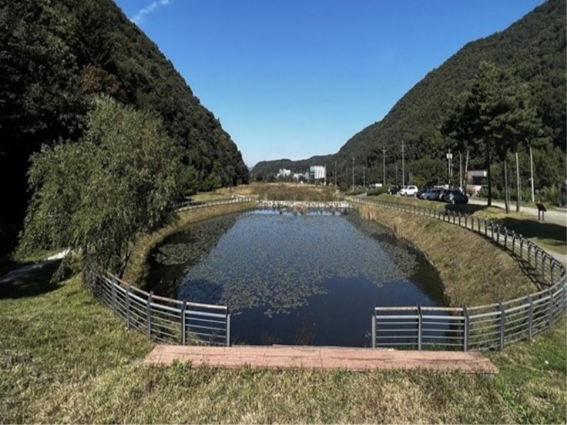 3. 경기도의 _2024 경기생태마당 조성 사업_에 선정된 용인특례시 _길업습지_ 모습.jpg