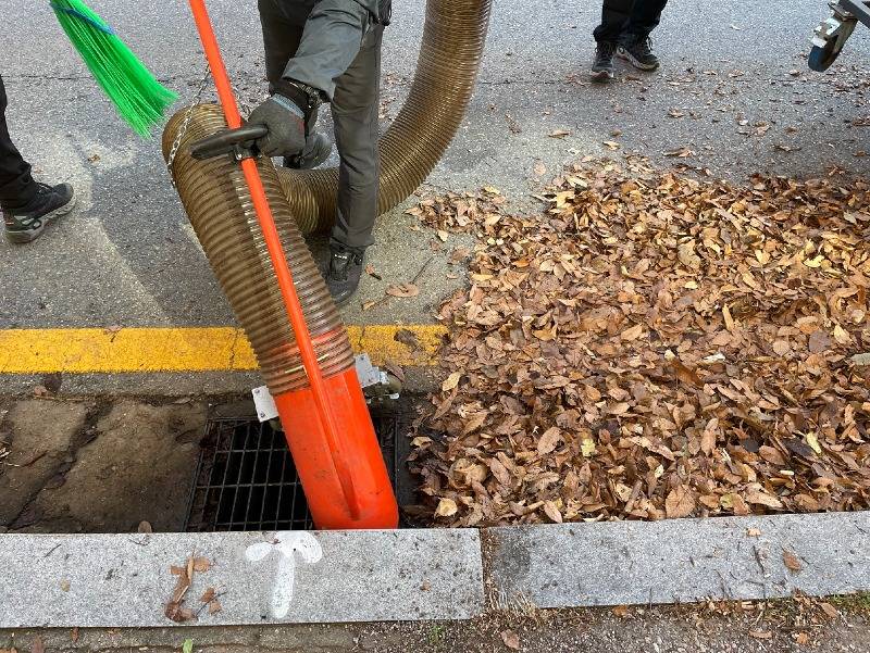 (1115)[와부읍]남양주시 와부읍, 낙엽 대청소로 우수관 막힘 해소(사진2).jpg