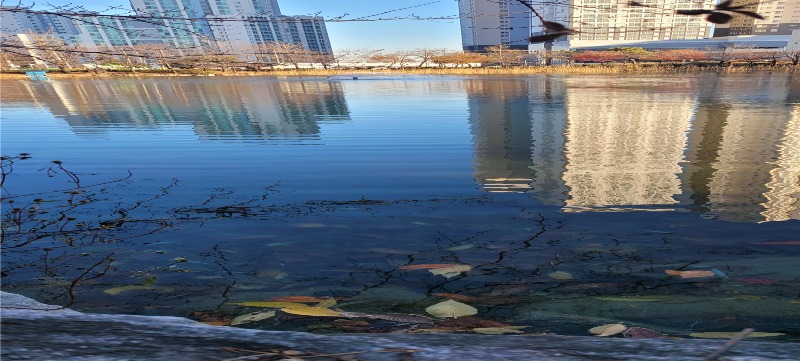 안흥유원지(수질개선 사업후).jpg