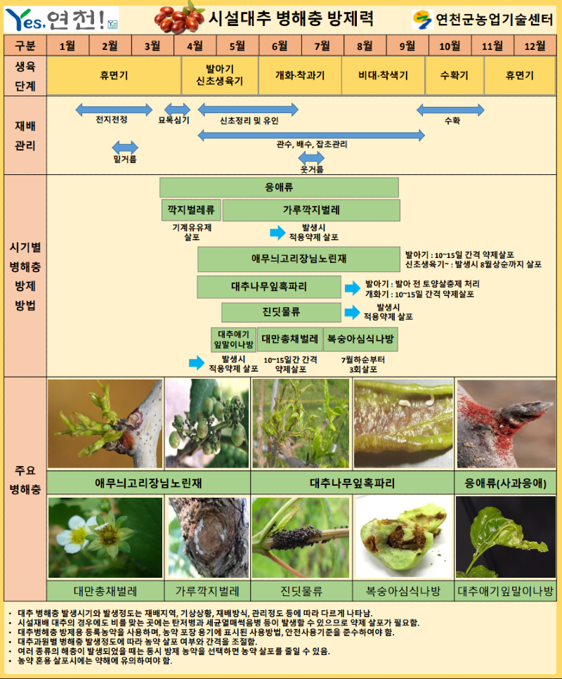 (사진)2. 연천군, 대추 병해충 방제력 제작 배부.png