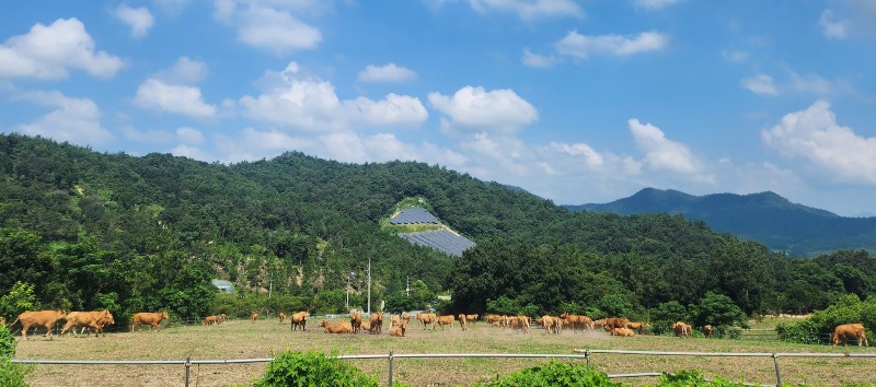 저탄소 축산물 인증 농장1.jpg