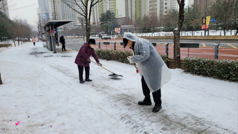 미사2동 통장단, 자발적 제설 작업 펼쳐.jpg