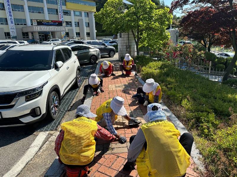 청정고성서포터즈(간성).jpg