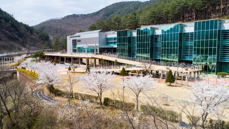 5. 자연사박물관(태백시, 석탄박물관 등 4개소 패키지 상품 온라인 판매).jpg