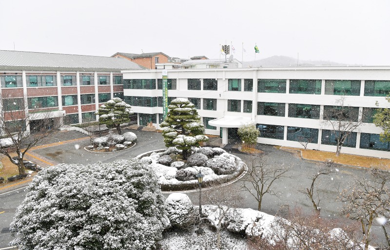 청사 겨울.jpg