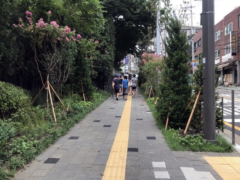 2.녹지산림과(의정부시, 효자초등학교 어린이보호구역에 자녀안심 그린숲 조성).jpg