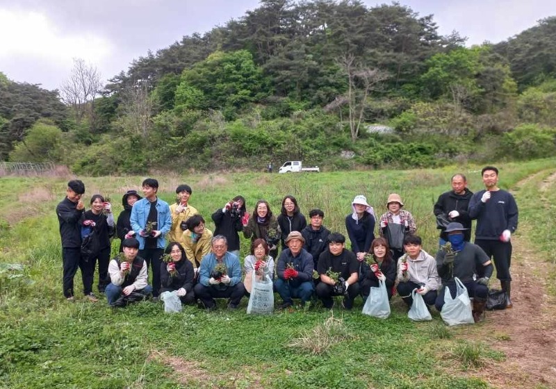 0425 정읍시, 영농철 농촌 일손 돕기 봉사활동(산외면).jpg